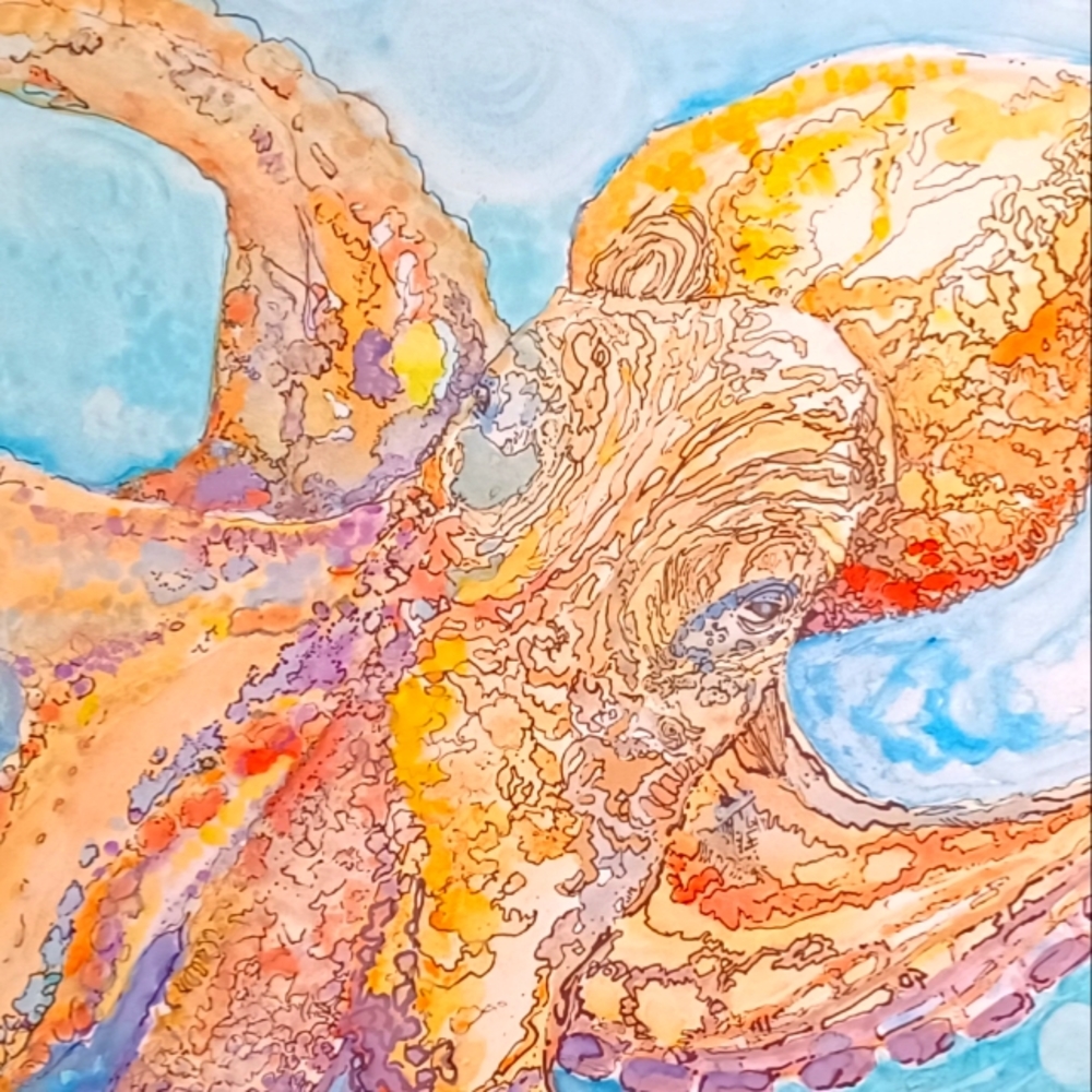 Octopus PRINT.  Archival quality acid free heavy paper print. 8" x 8"